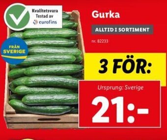 Lidl Gurka erbjuda