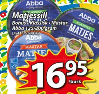 Matjessill