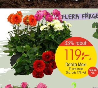 EKO Olw plantor erbjuda
