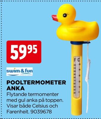 Pooltermometer anka