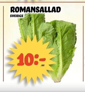 Nelins romansallad erbjuda