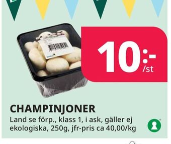 Tempo Champinjoner erbjuda