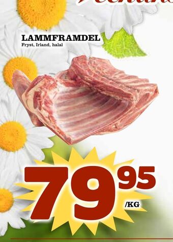 Rinkeby Matcenter Lammframdel erbjuda
