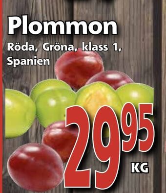 Supergrossen Plommon erbjuda