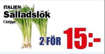 Matdax Salladslök erbjuda