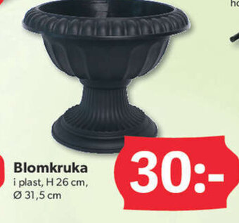 Blomkruka