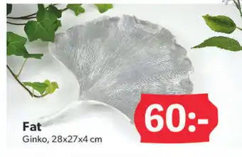 DollarStore Fat erbjuda