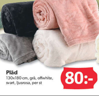DollarStore Pläd erbjuda
