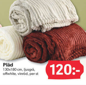 DollarStore Pläd erbjuda