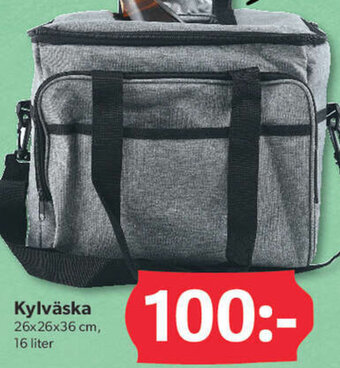 DollarStore Kylväska erbjuda