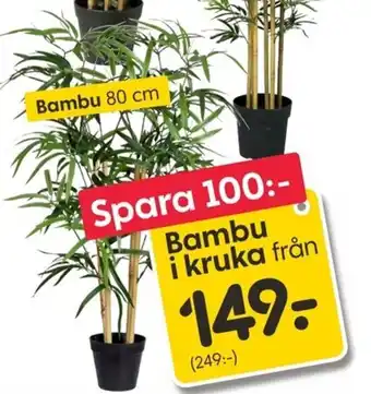 Rusta Bambu erbjuda