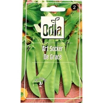 Fröer odla ärt, socker de grace
