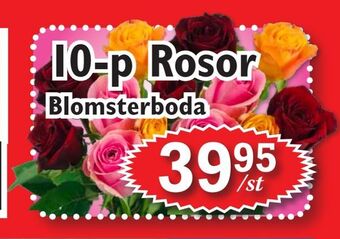 T-jarlen 10-p Rosor erbjuda
