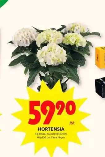 ICA Kvantum Ldb plantor erbjuda