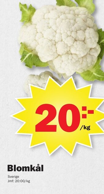 Pekås Blomkål erbjuda