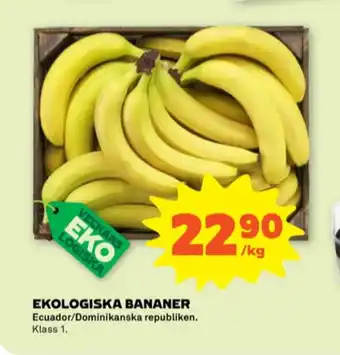 Senses bananer