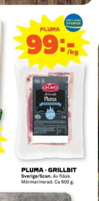 Stora Coop Scan pluma erbjuda