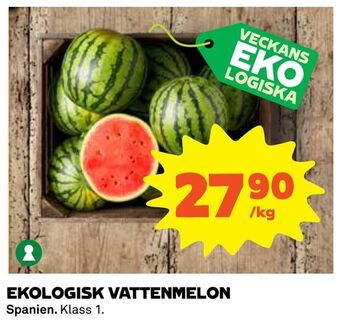 Coop Daglivs Ekologisk vattenmelon erbjuda