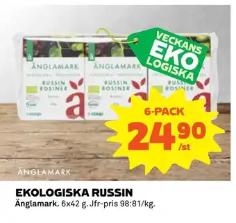 Coop Ekologiska russin erbjuda