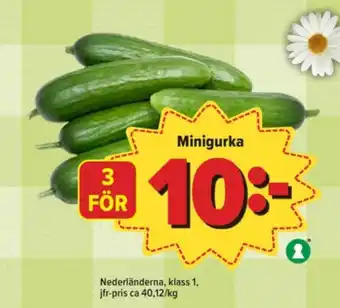 Östenssons Lilla hembageriet gurka erbjuda