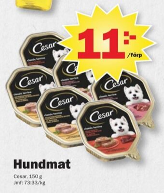Cesar hundmat