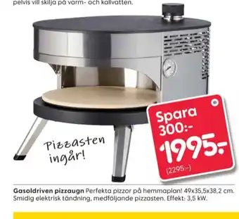 Rusta Ashby garden pizzaugn erbjuda