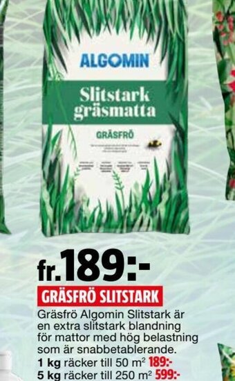 Gräsfrö Slitstark