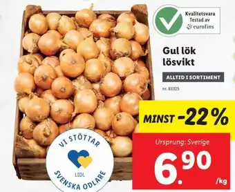 Lidl Gul lök lösvikt erbjuda