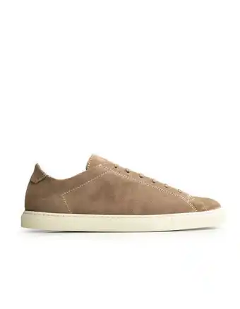 Racquet unlined suede sneaker tabac
