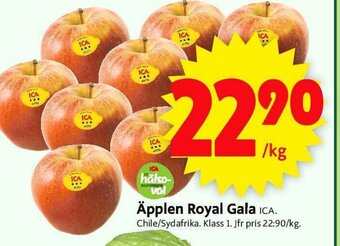 ICA Maxi Applen Royal Gala erbjuda