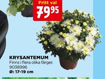 Jem&Fix Krysantemum erbjuda