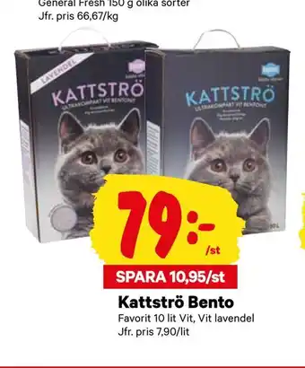 Kattströ Bento