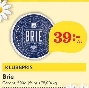 Brie