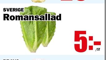 Matdax Romansallad erbjuda