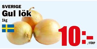 Matdax Gul lök erbjuda