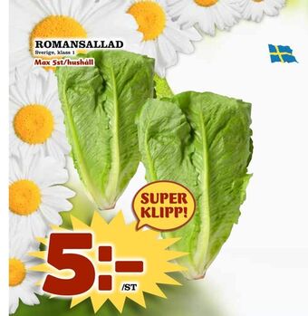 Nya Pulsen Romansallad erbjuda