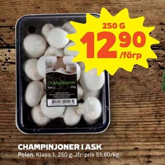 Stora Coop Champinjoner i ask erbjuda