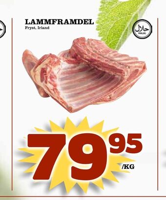Rinkeby Matcenter Lammframdel erbjuda