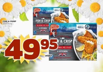 Fish & crisp