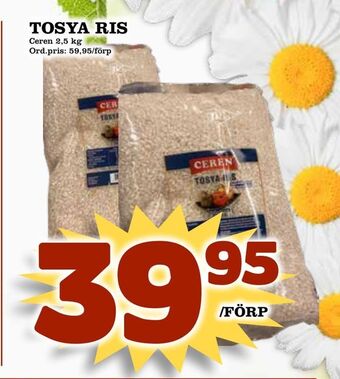 Tosya ris