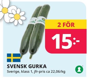 Tempo Svensk gurka erbjuda