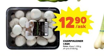 Coop Champinjoner i ask erbjuda