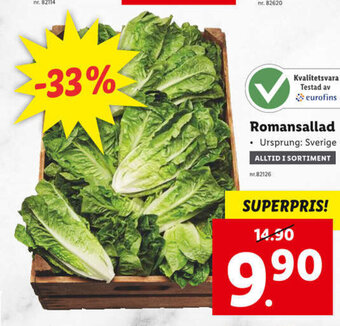 Lidl Romansallad erbjuda