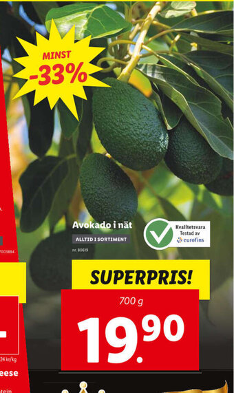 Lidl Avokado i Nät erbjuda