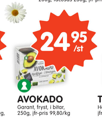 Tempo Avokado erbjuda