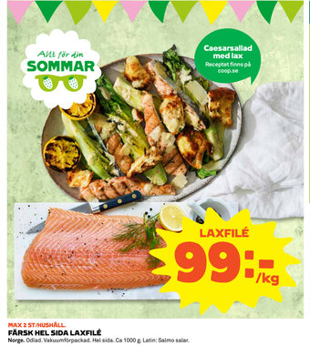 Färsk Hel Sida Laxfile 1kg