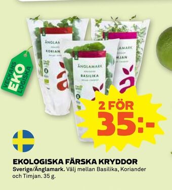 Coop Forum Ekologiska färska kryddor erbjuda