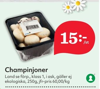 Hemköp Champinjoner erbjuda