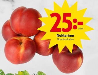Matöppet Nektariner erbjuda