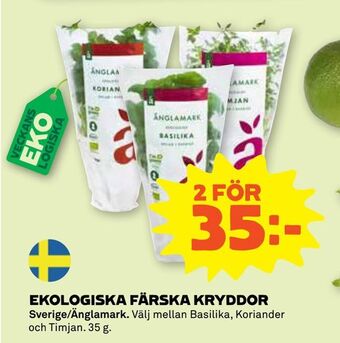 Stora Coop Ekologiska färska kryddor erbjuda